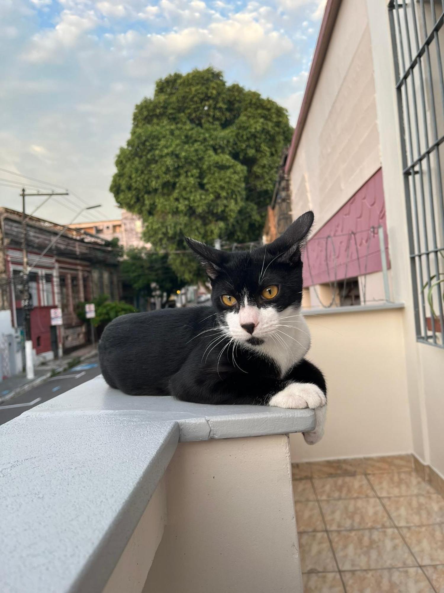 Aldeia Hostel Manaus Dış mekan fotoğraf