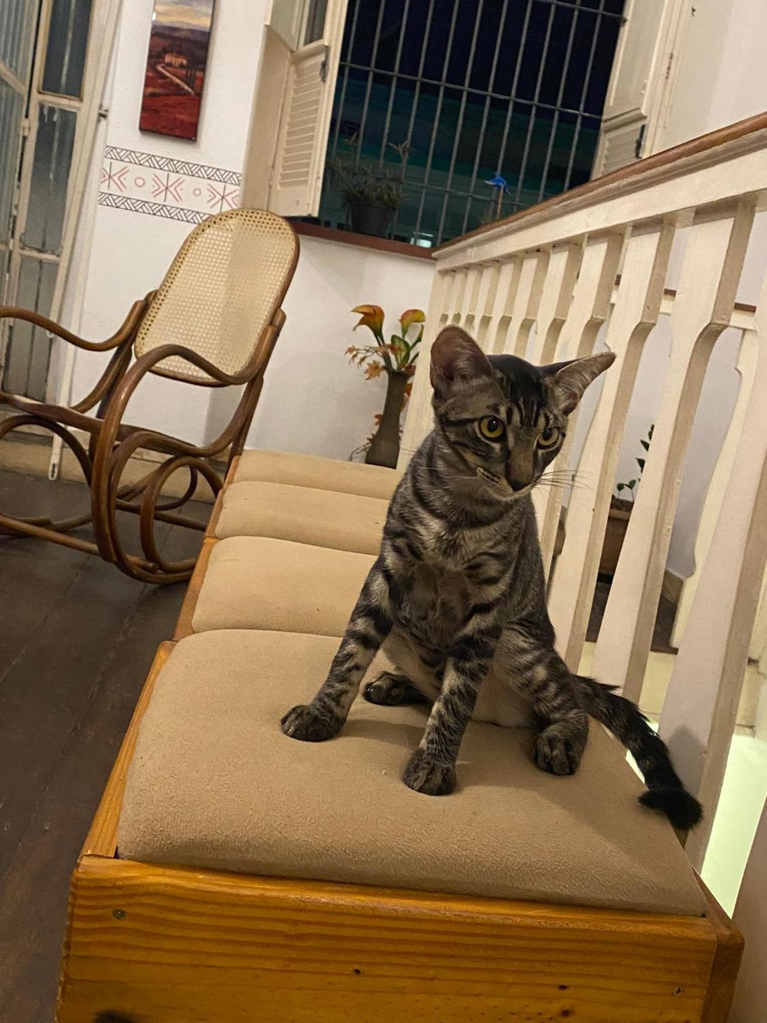 Aldeia Hostel Manaus Dış mekan fotoğraf