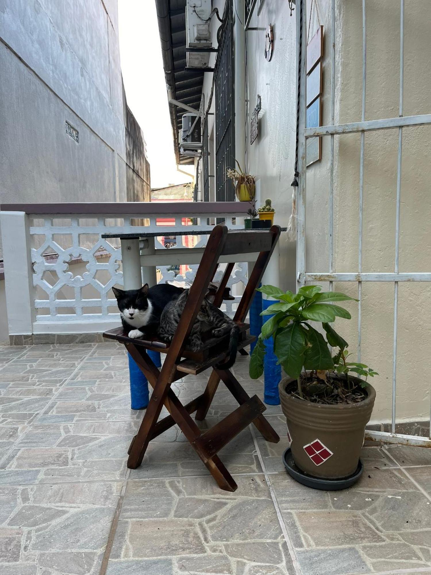 Aldeia Hostel Manaus Dış mekan fotoğraf