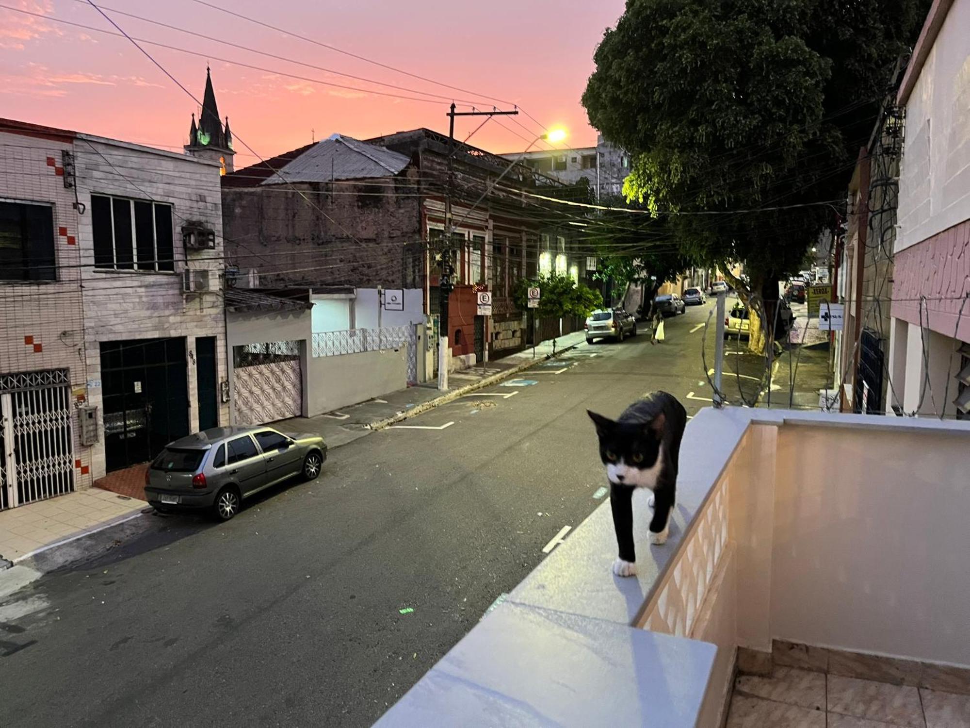 Aldeia Hostel Manaus Dış mekan fotoğraf